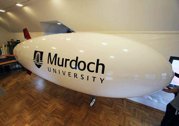 6-m-rc-blimp---side-view